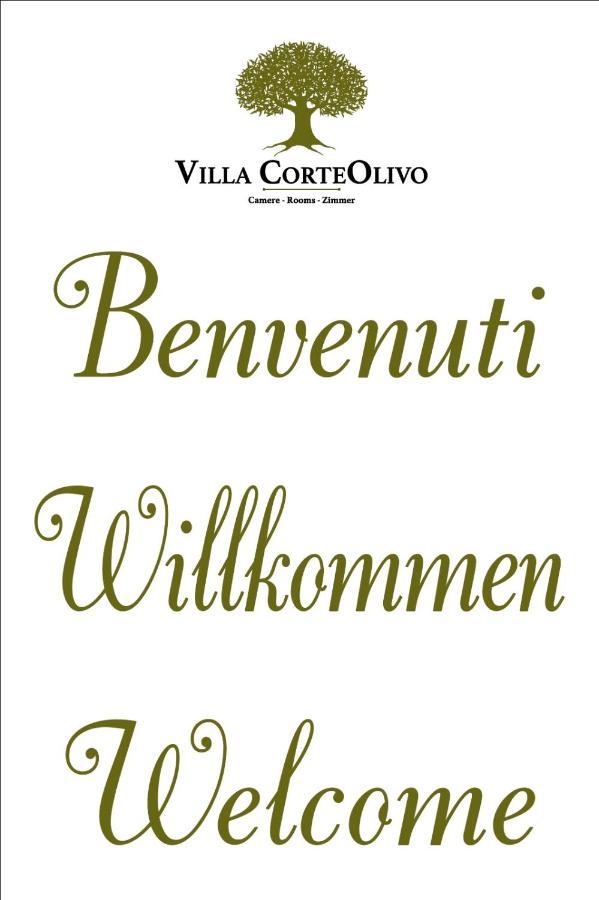 Villa Corteolivo Rooms Torri Del Benaco Ngoại thất bức ảnh