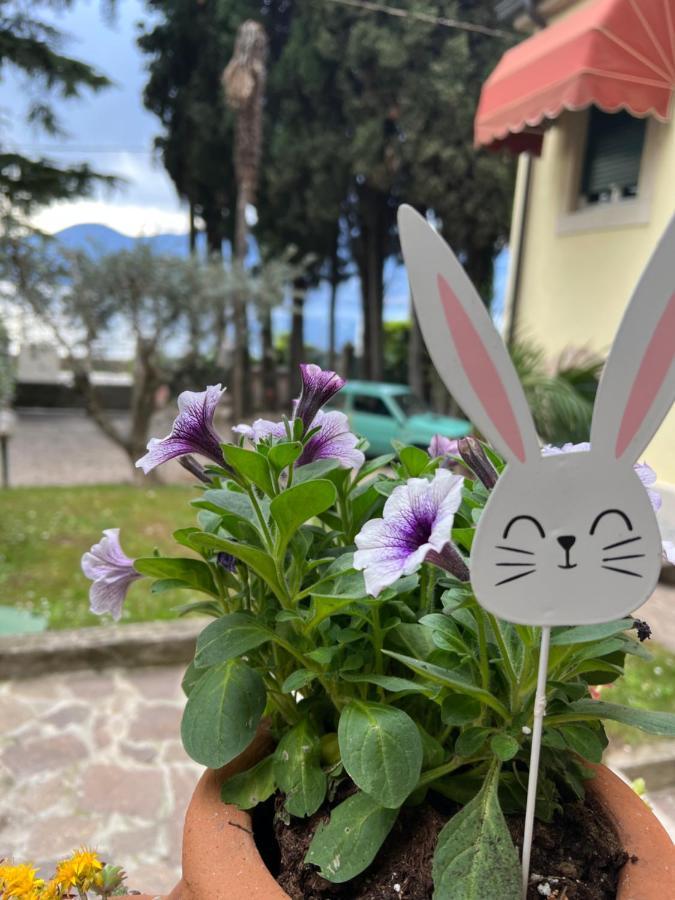 Villa Corteolivo Rooms Torri Del Benaco Ngoại thất bức ảnh
